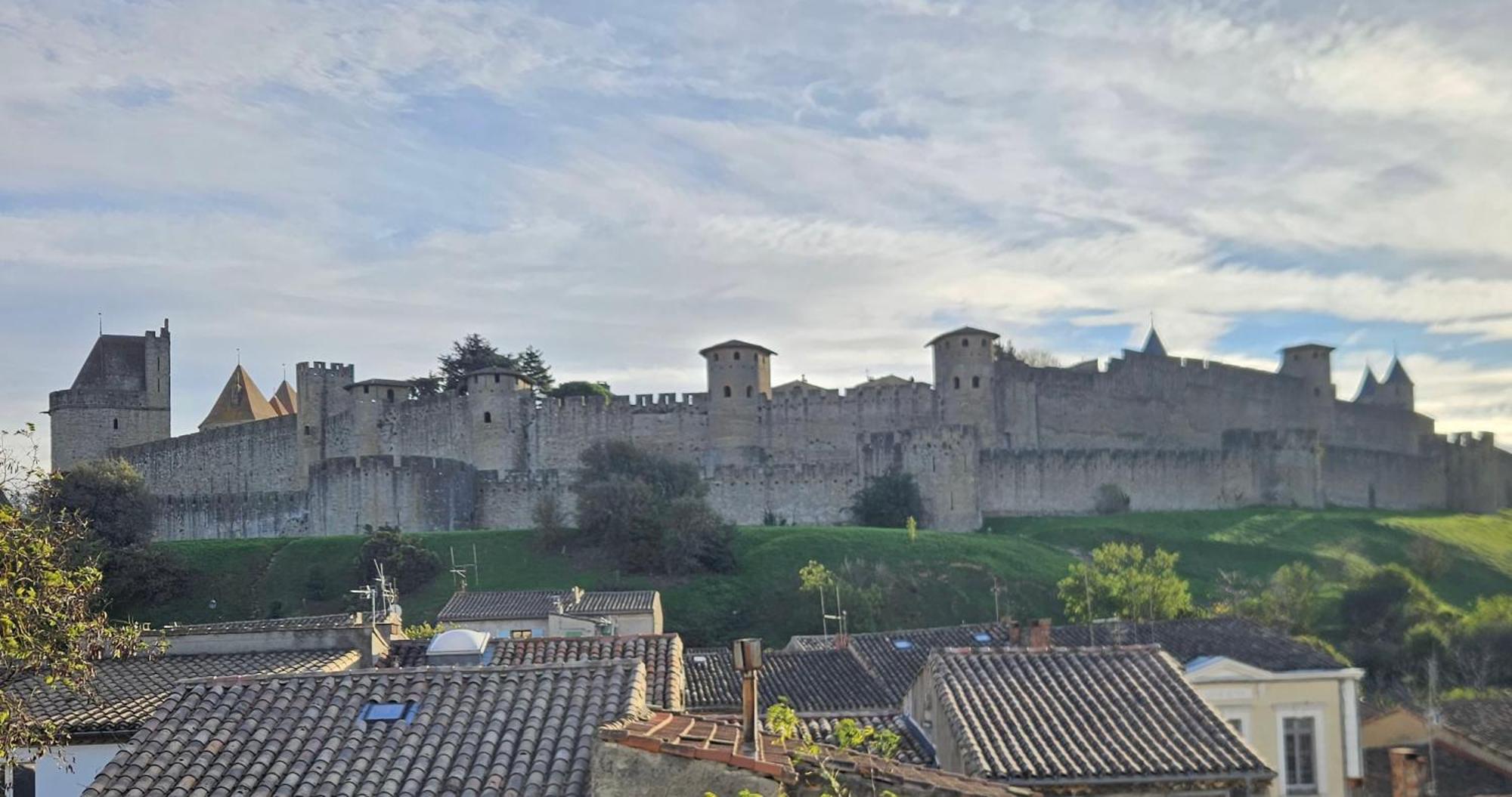 Vue Cite Medievale Castel View Каркасон Екстериор снимка