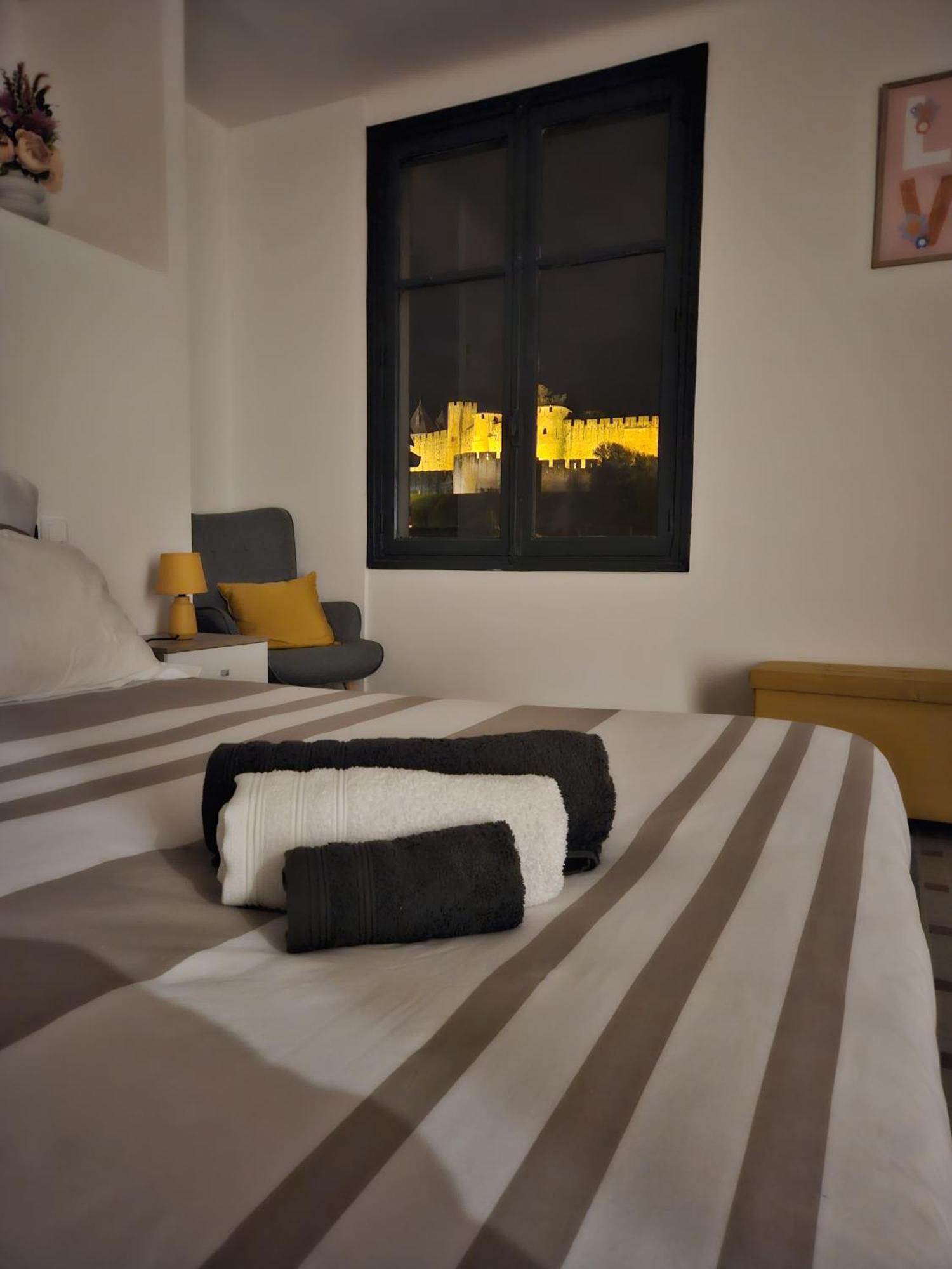 Vue Cite Medievale Castel View Каркасон Екстериор снимка