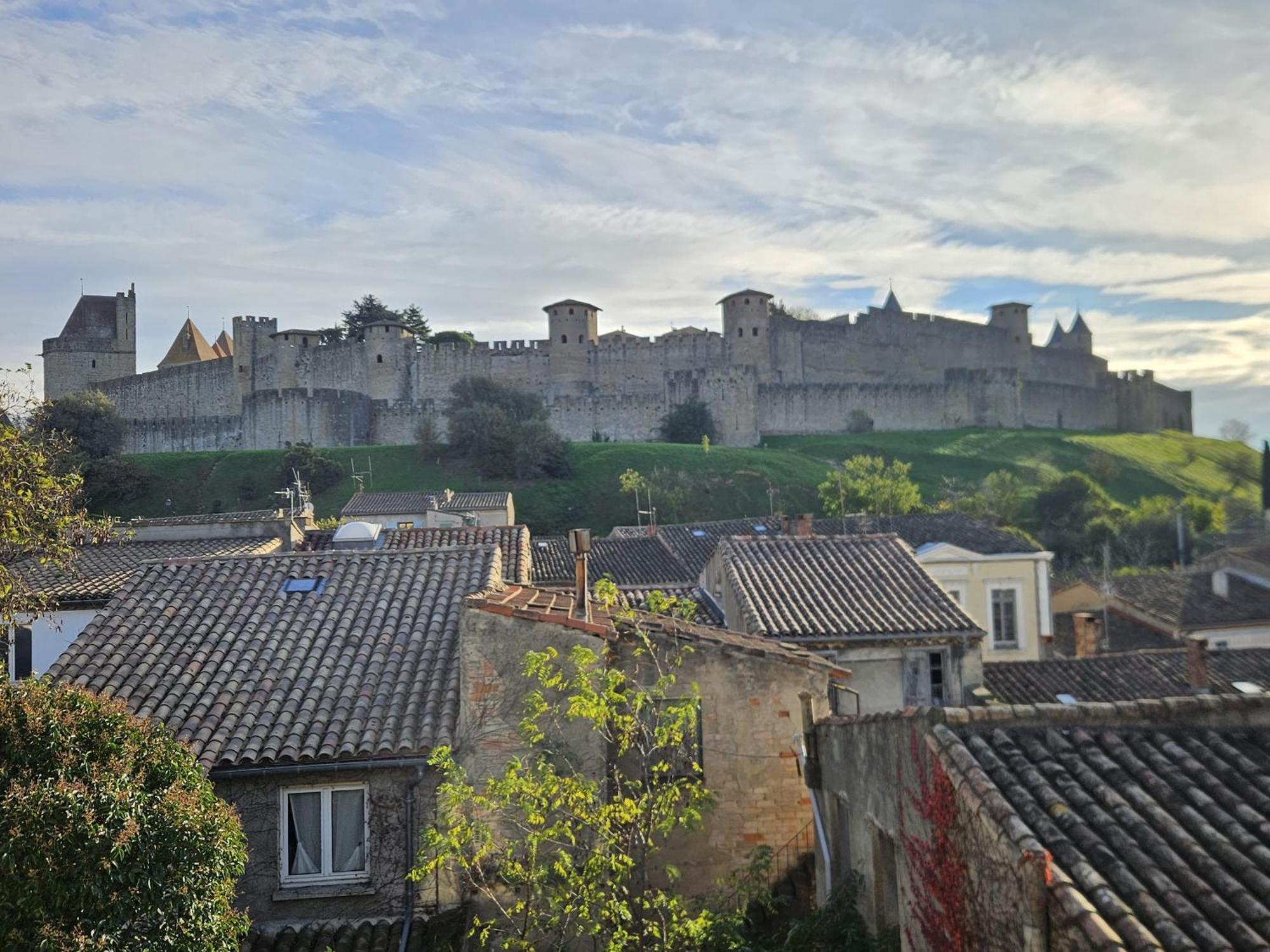 Vue Cite Medievale Castel View Каркасон Екстериор снимка