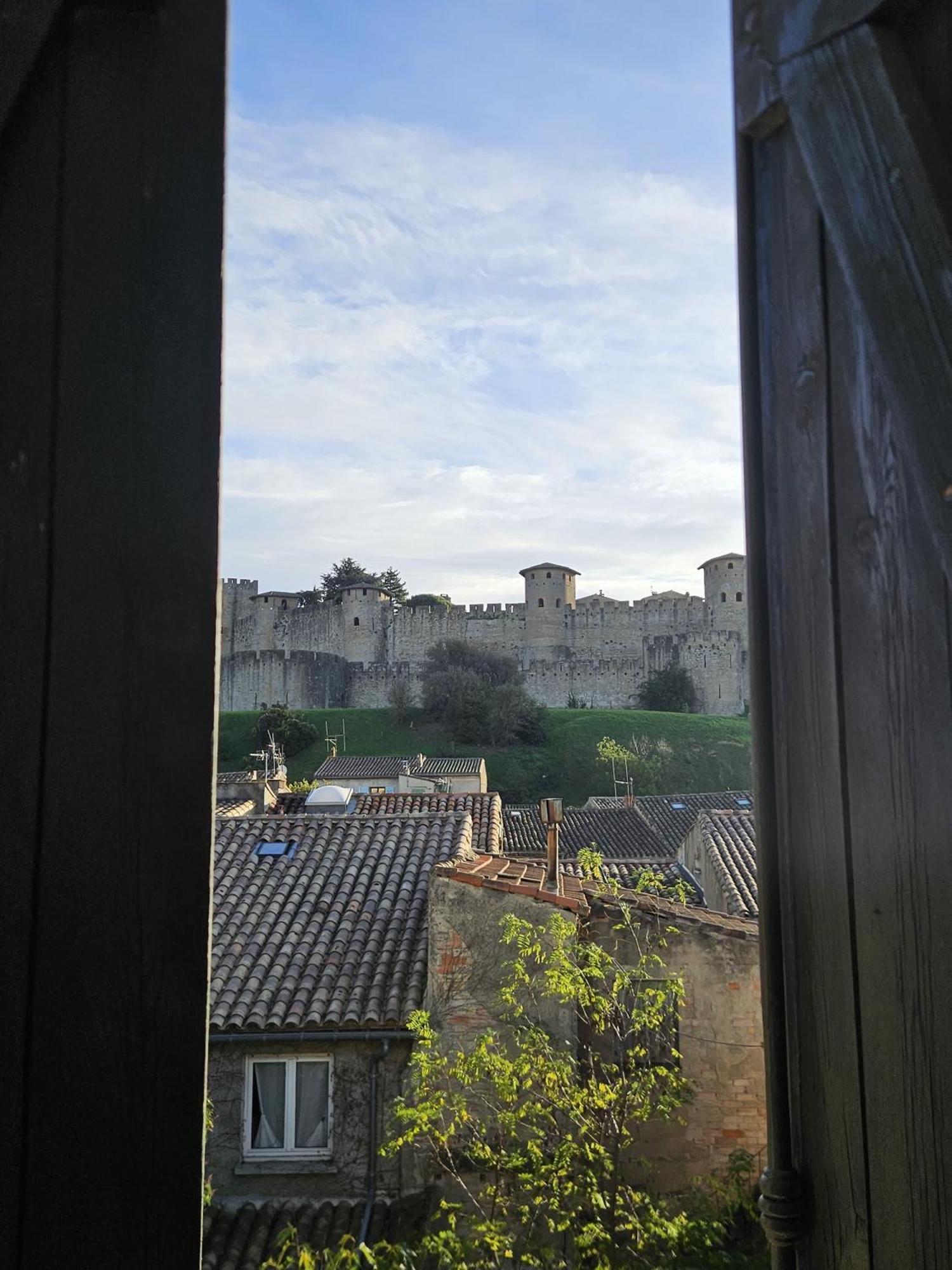 Vue Cite Medievale Castel View Каркасон Екстериор снимка