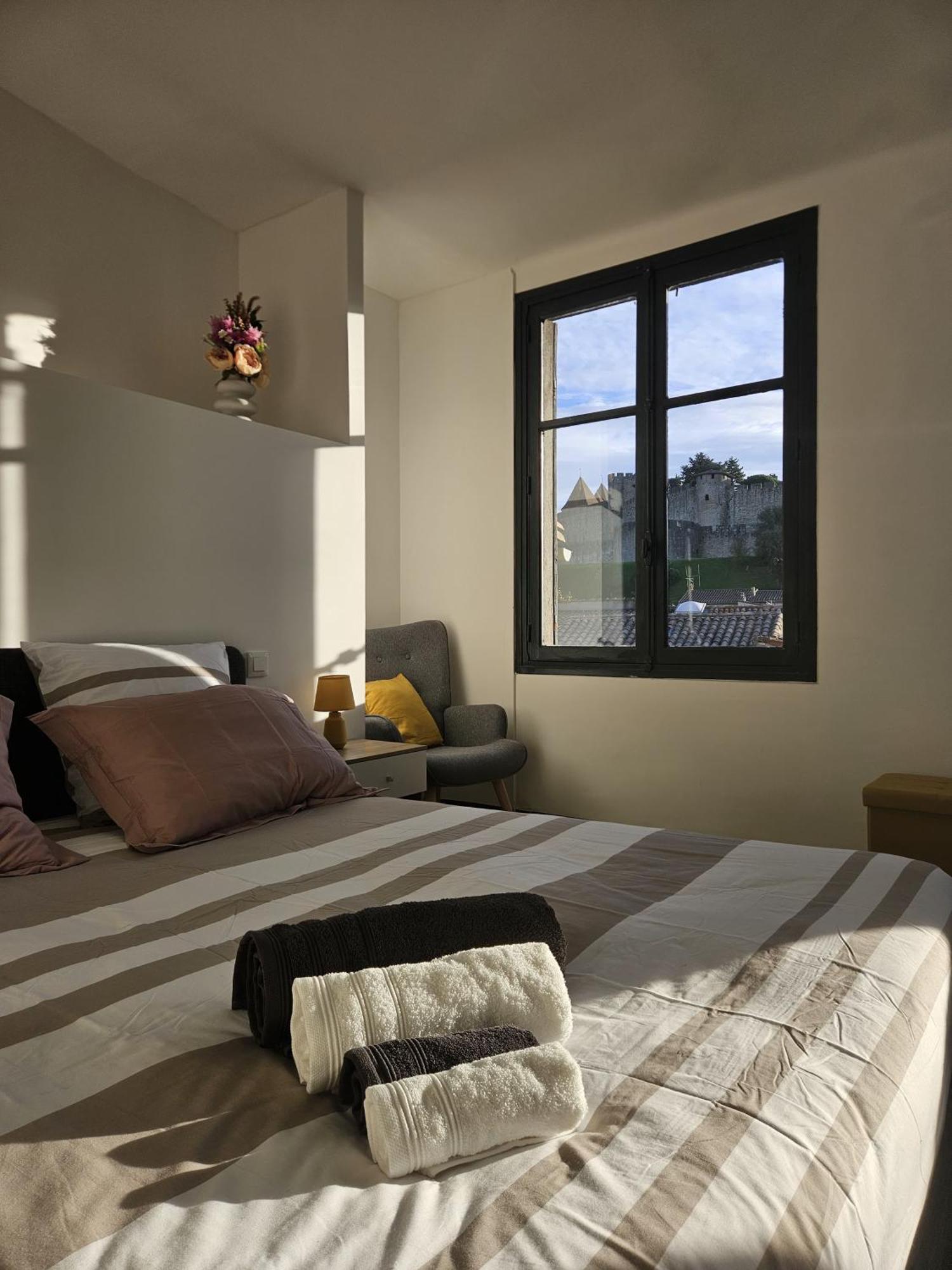 Vue Cite Medievale Castel View Каркасон Екстериор снимка